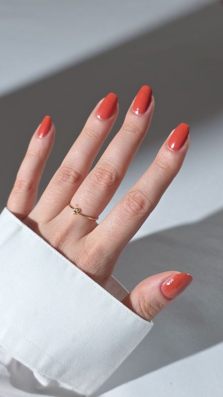 PUMPKIND PIE| Neglelakk | Nailberry  